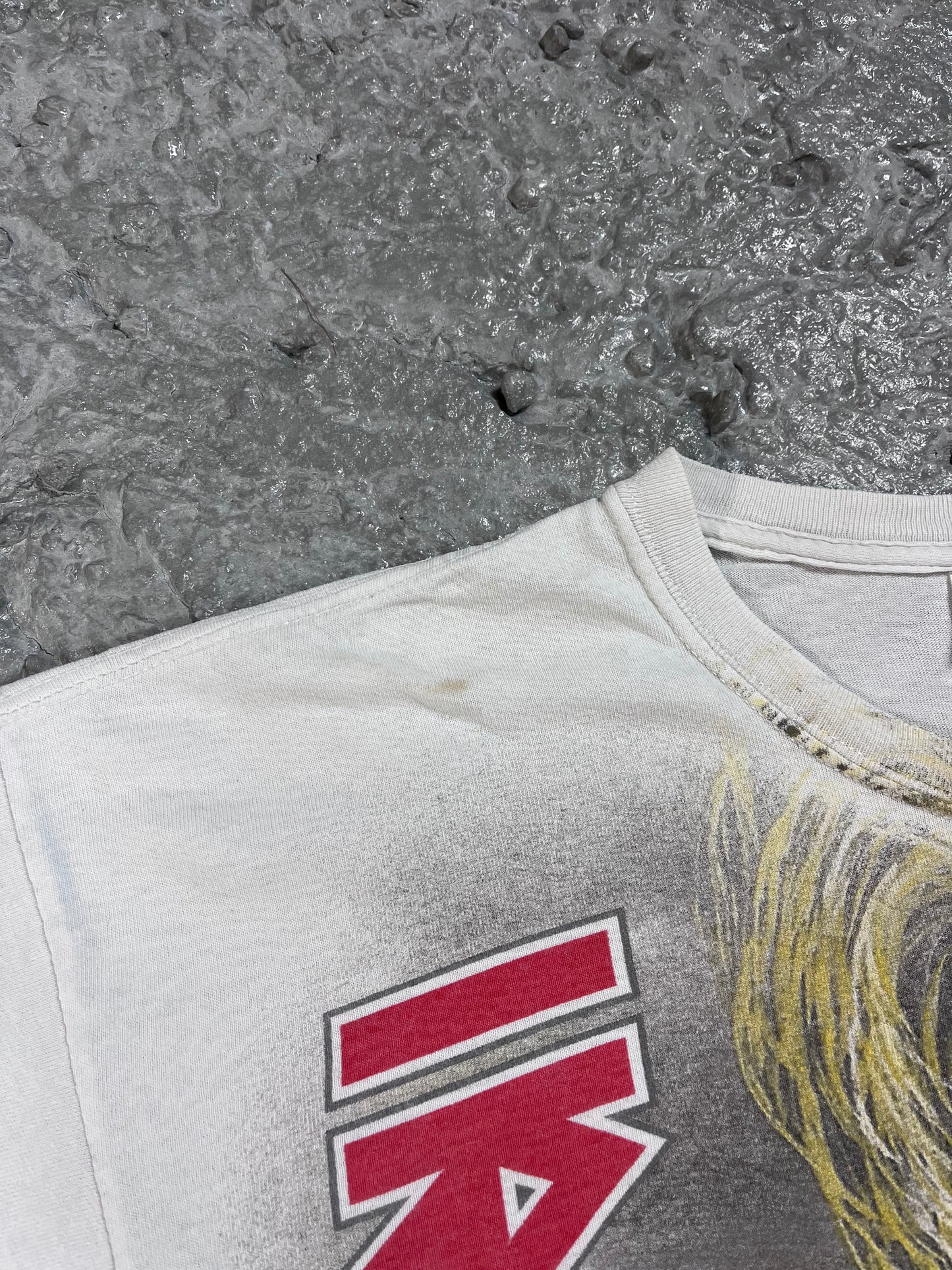 Vintage Iron maiden t-shirt 2009