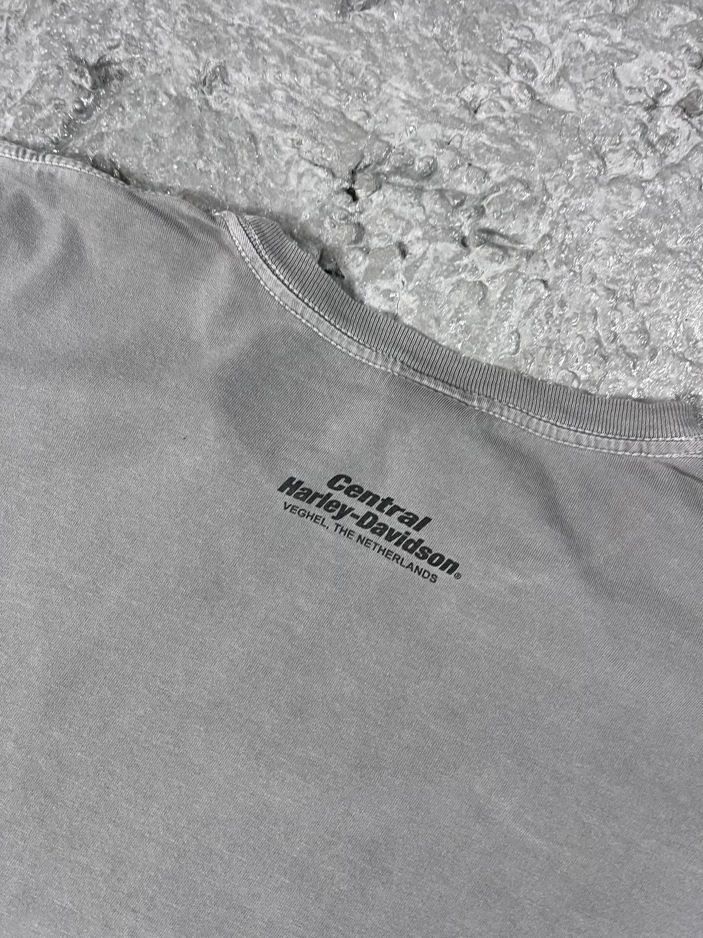 Vintage Harley Davidson T-shirt