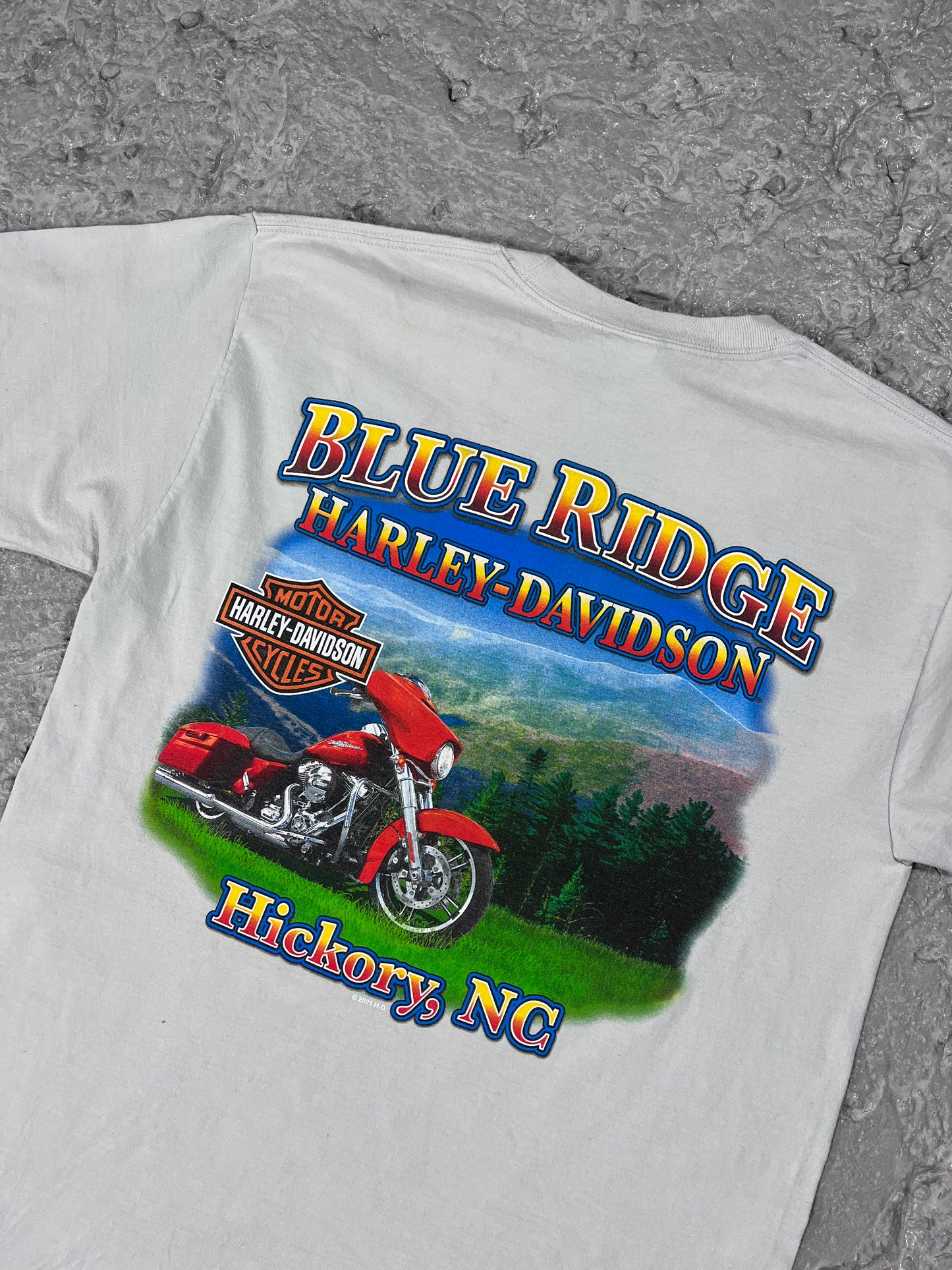 Vintage Harley Davidson T-shirt