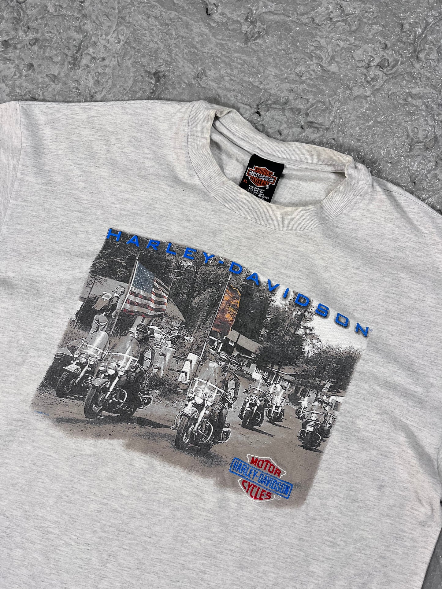 Vintage Harley Davidson T-shirt