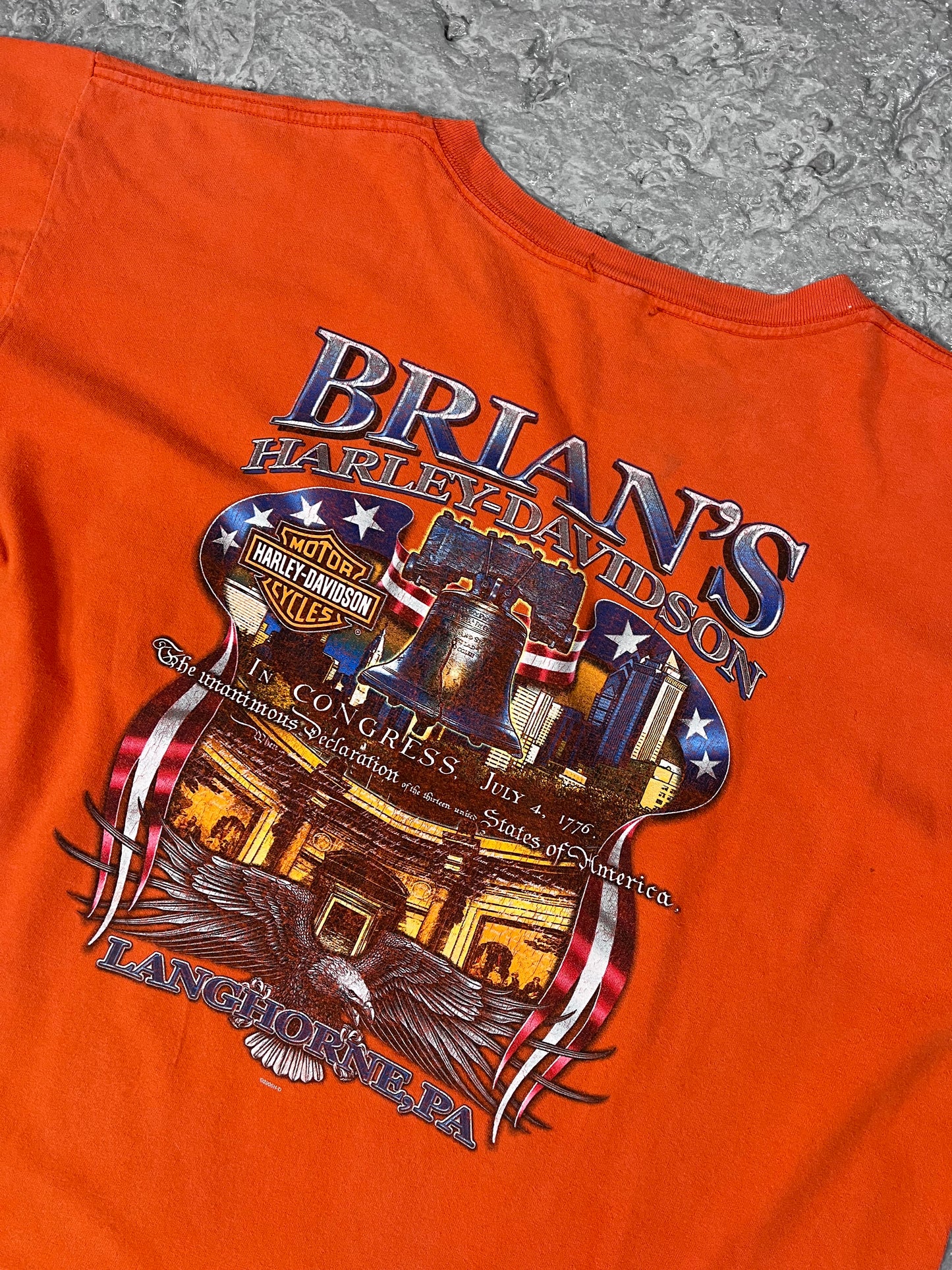 Vintage Harley Davidson T-shirt