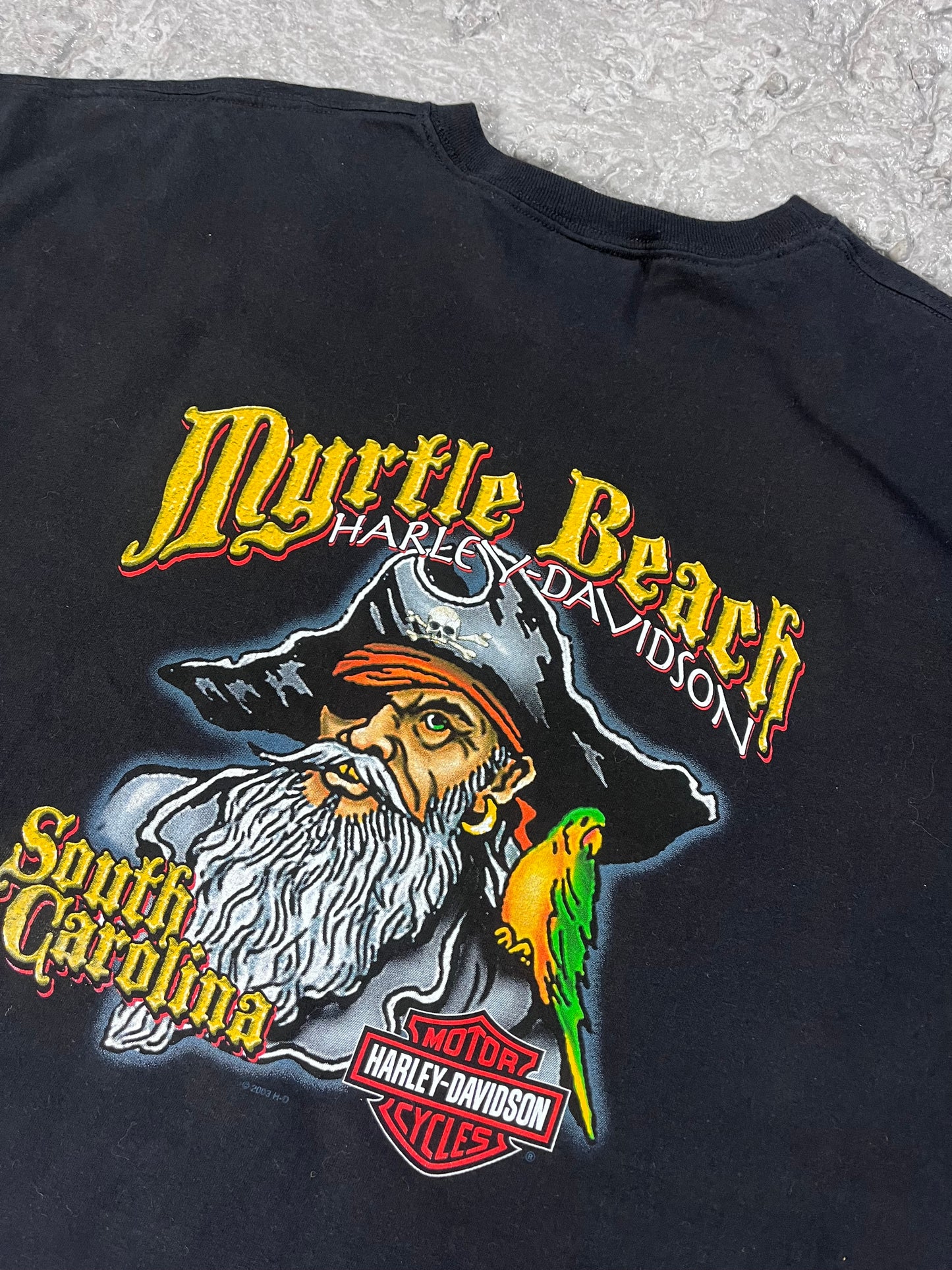 Vintage Harley Davidson T-shirt