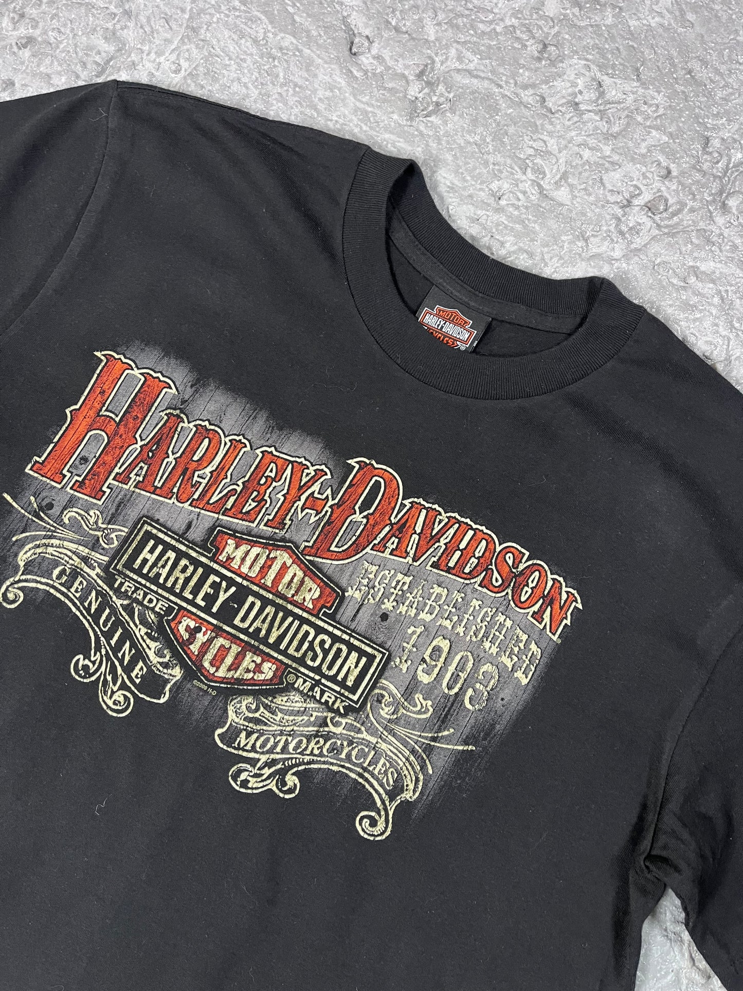 Vintage Harley Davidson T-shirt