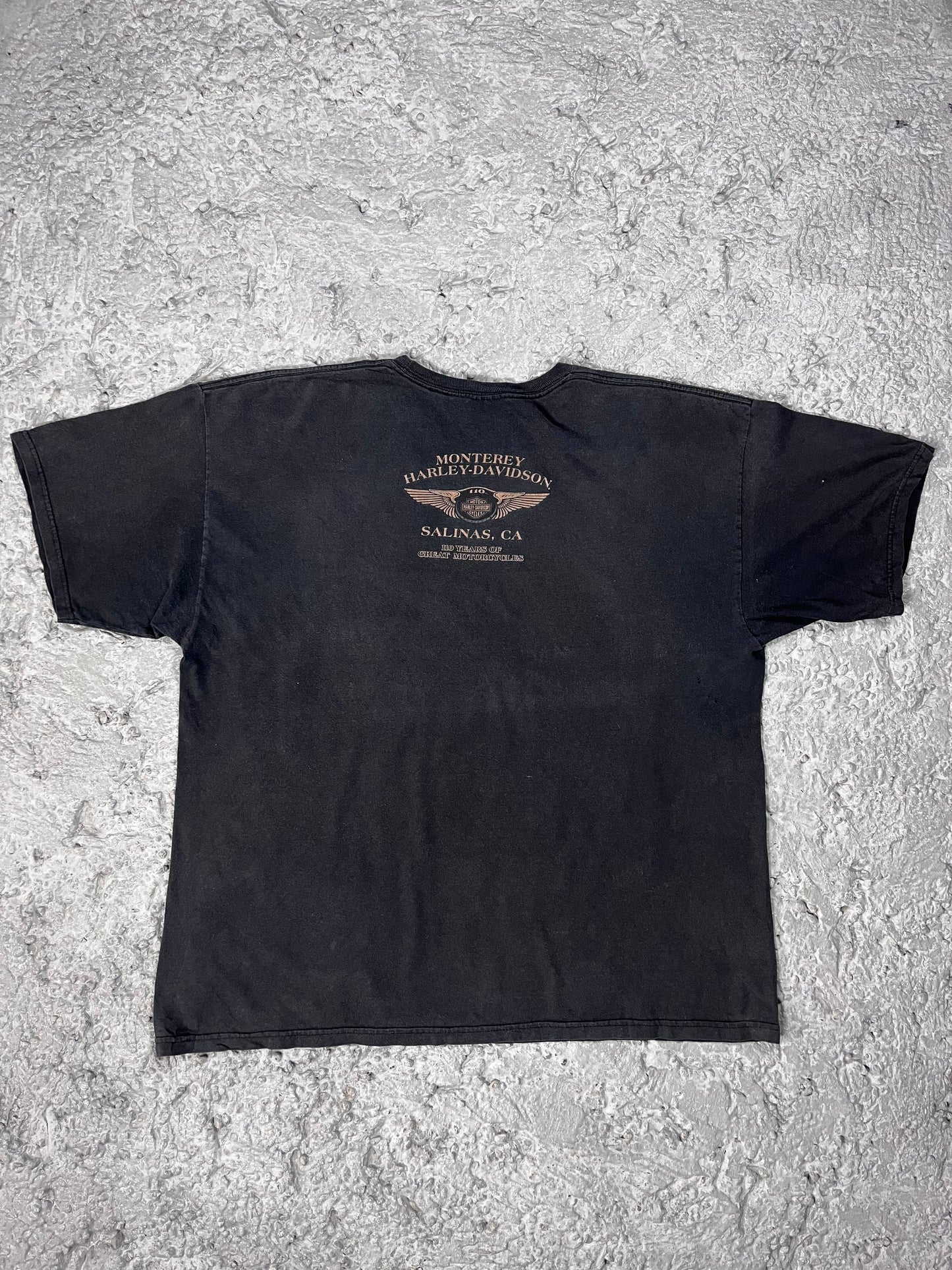 Vintage Harley Davidson T-shirt