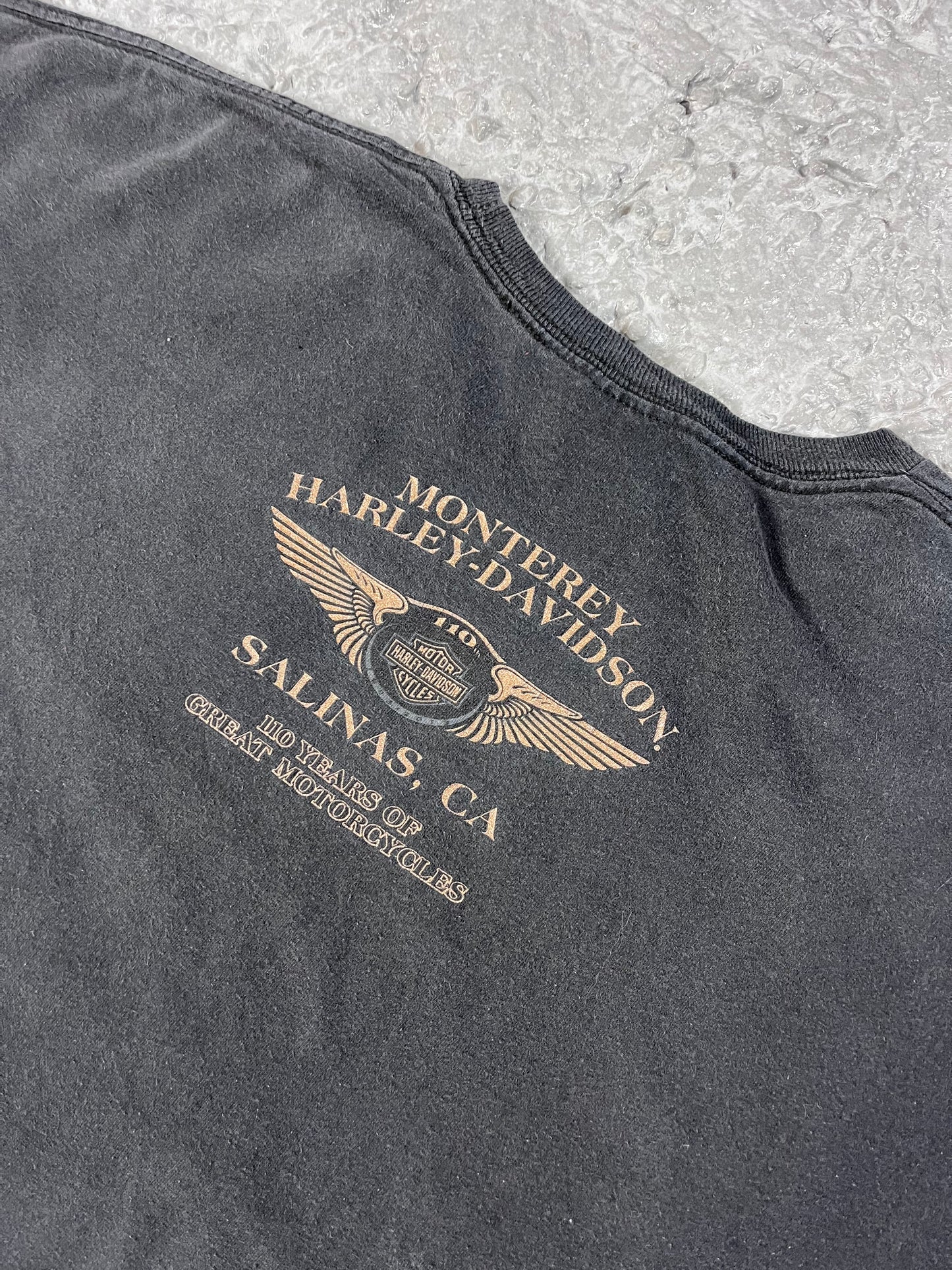 Vintage Harley Davidson T-shirt