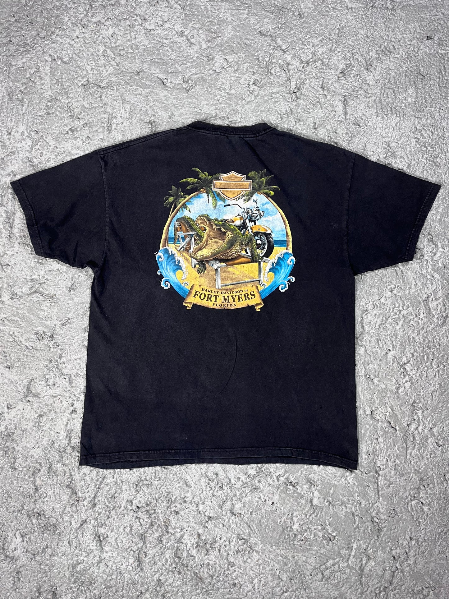 Vintage Harley Davidson T-shirt