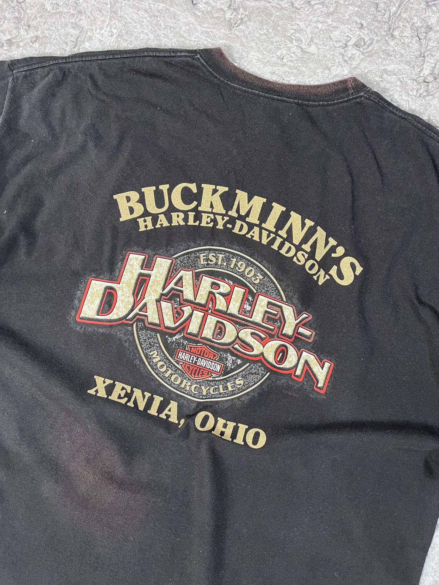 Vintage Harley Davidson T-shirt