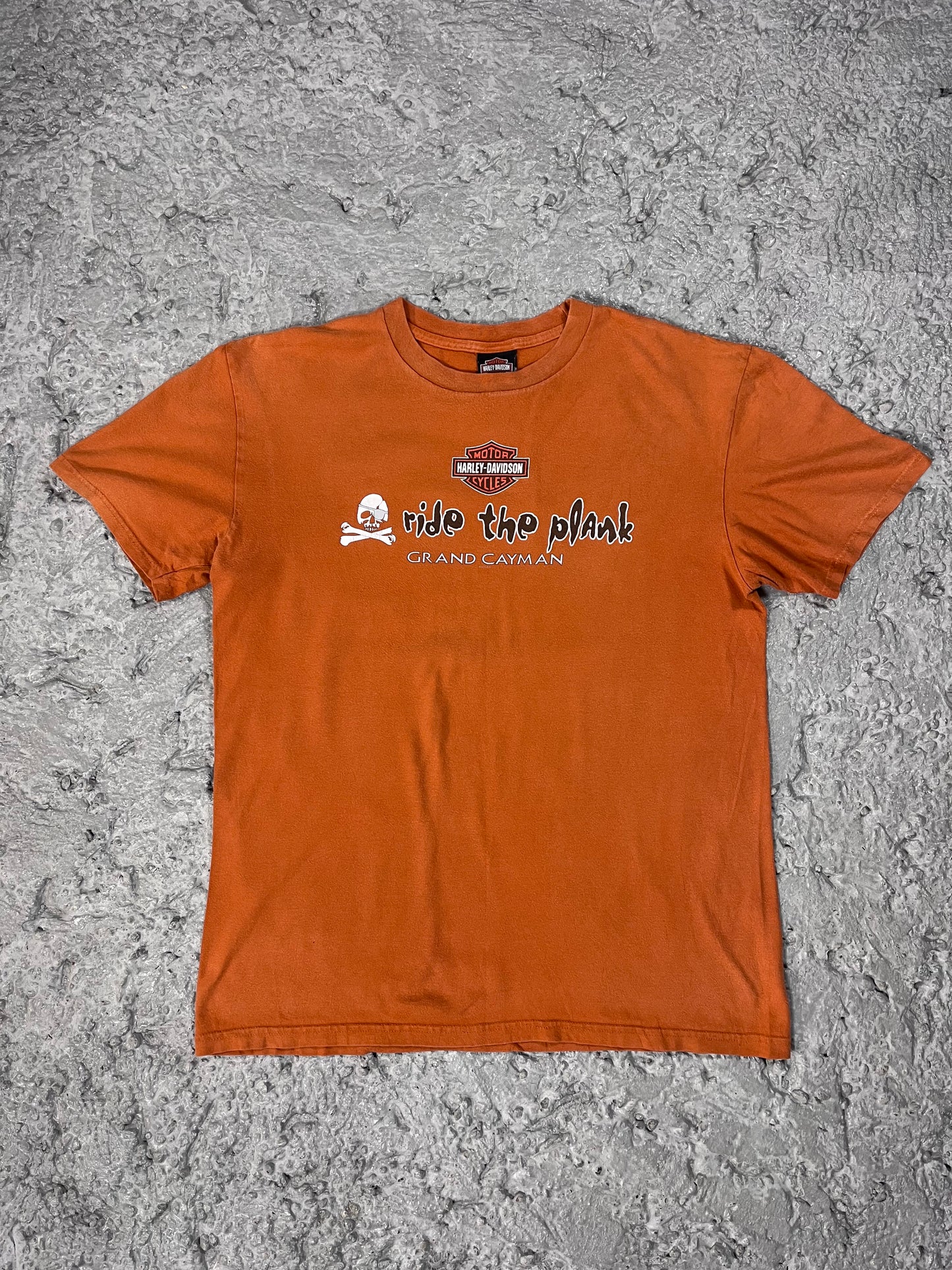 Vintage Harley Davidson T-shirt