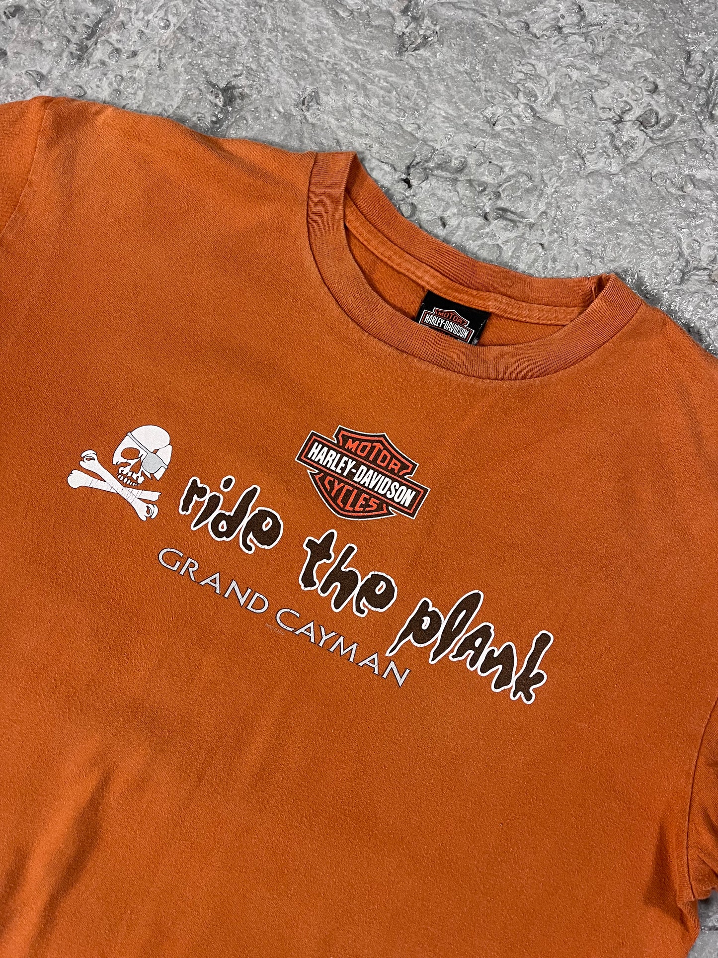 Vintage Harley Davidson T-shirt
