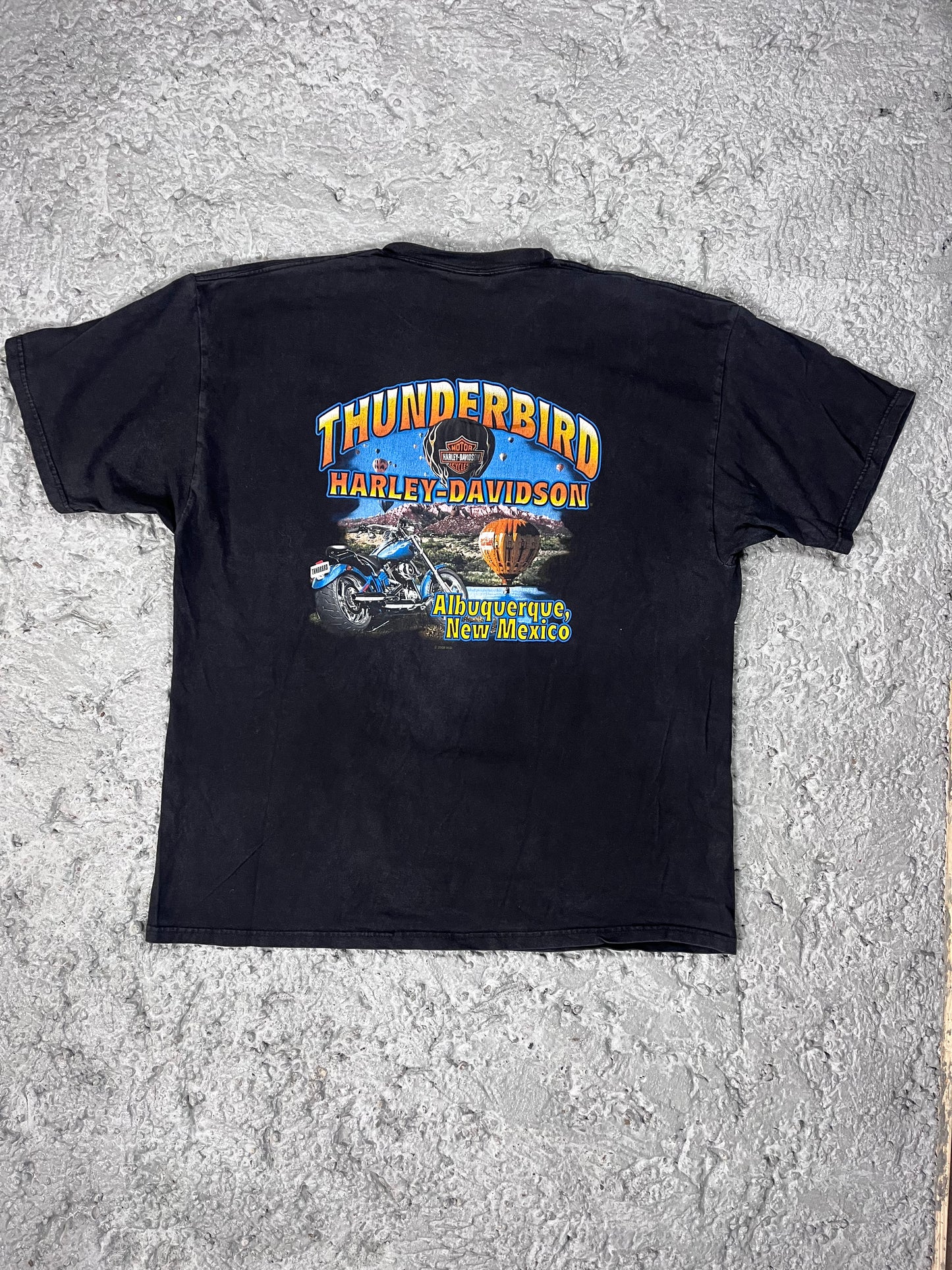 Vintage Harley Davidson T-shirt