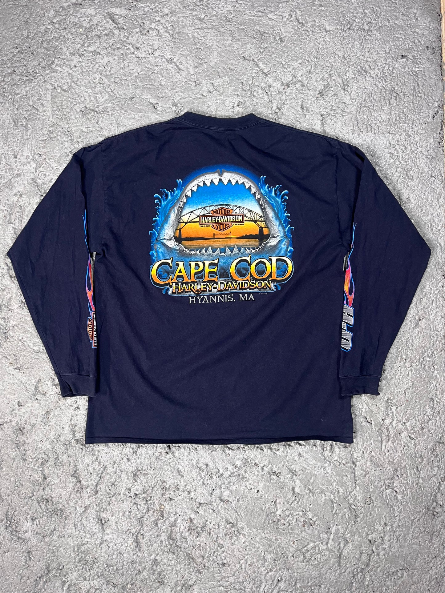 Vintage Harley Davidson Longsleeve