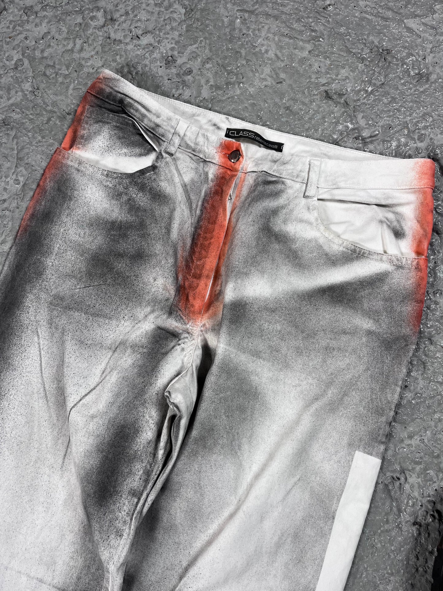 Roberto Cavalli Class sprayed jeans