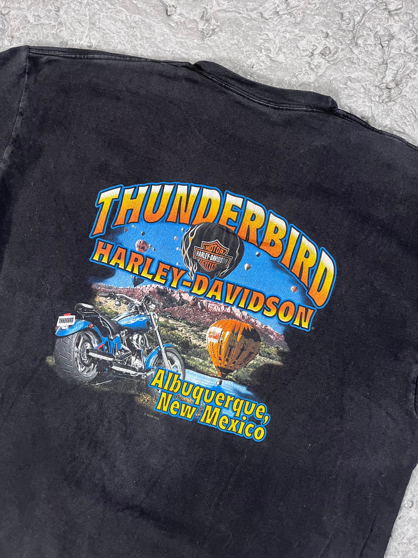 Vintage Harley Davidson T-shirt